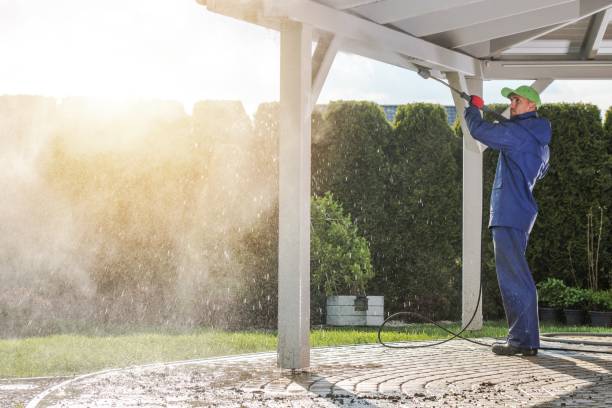 Best Solar Panel Cleaning  in Frostproof, FL